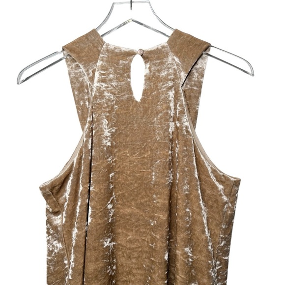 Anthropologie Porridge Crushed Velvet Champage Women’s Sleeveless Top Sz S - Picture 10 of 12